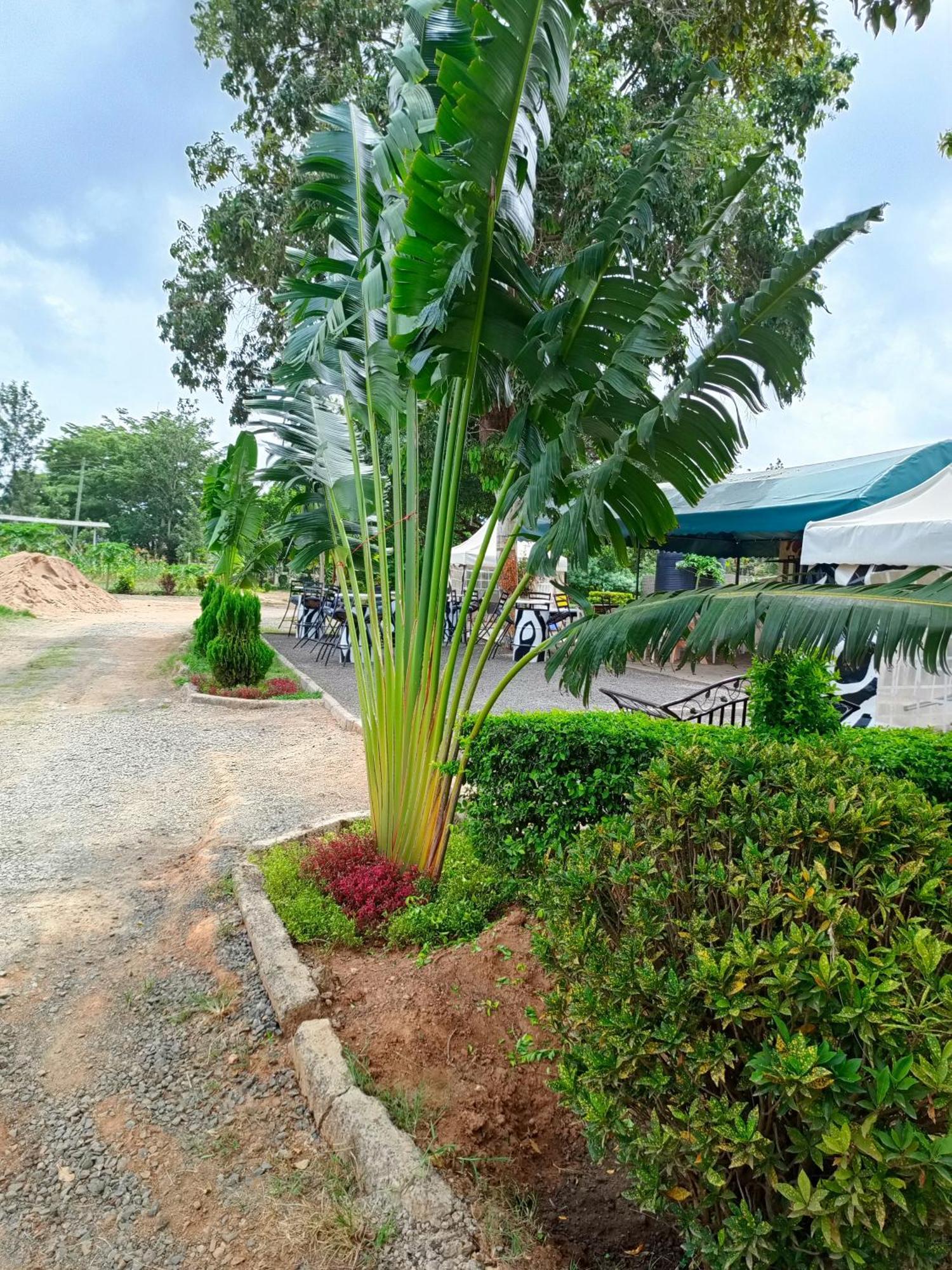 The Mara Resort Kitui エクステリア 写真
