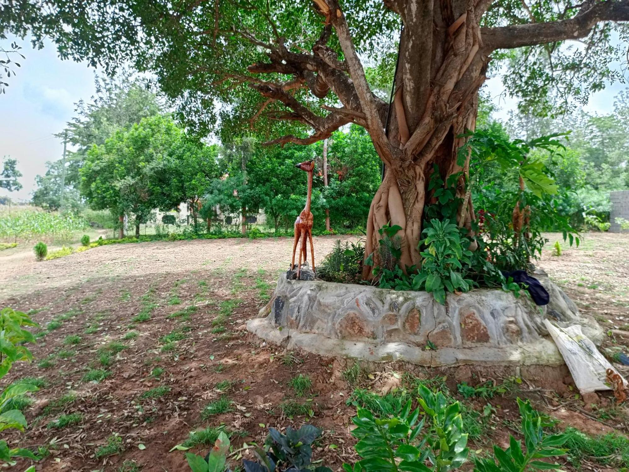 The Mara Resort Kitui エクステリア 写真